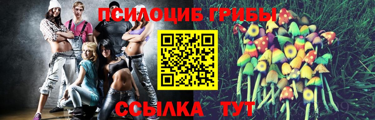 Березники  Галлюциногенные грибы GOLDEN TEACHER  Псилоцибиновые грибы ЛСД  Вход с VPN 