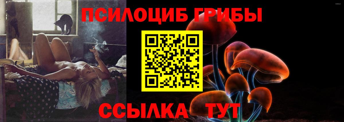 Псилоцибиновые грибы GOLDEN TEACHER Березники